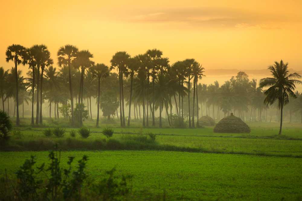 Pithapuram
